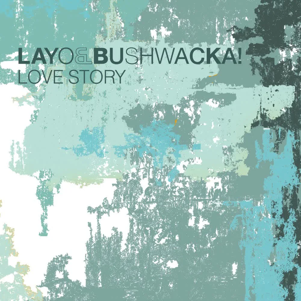 Обкладинка пісні Layo&Bushwacka! — Love Story (Radio Edit)