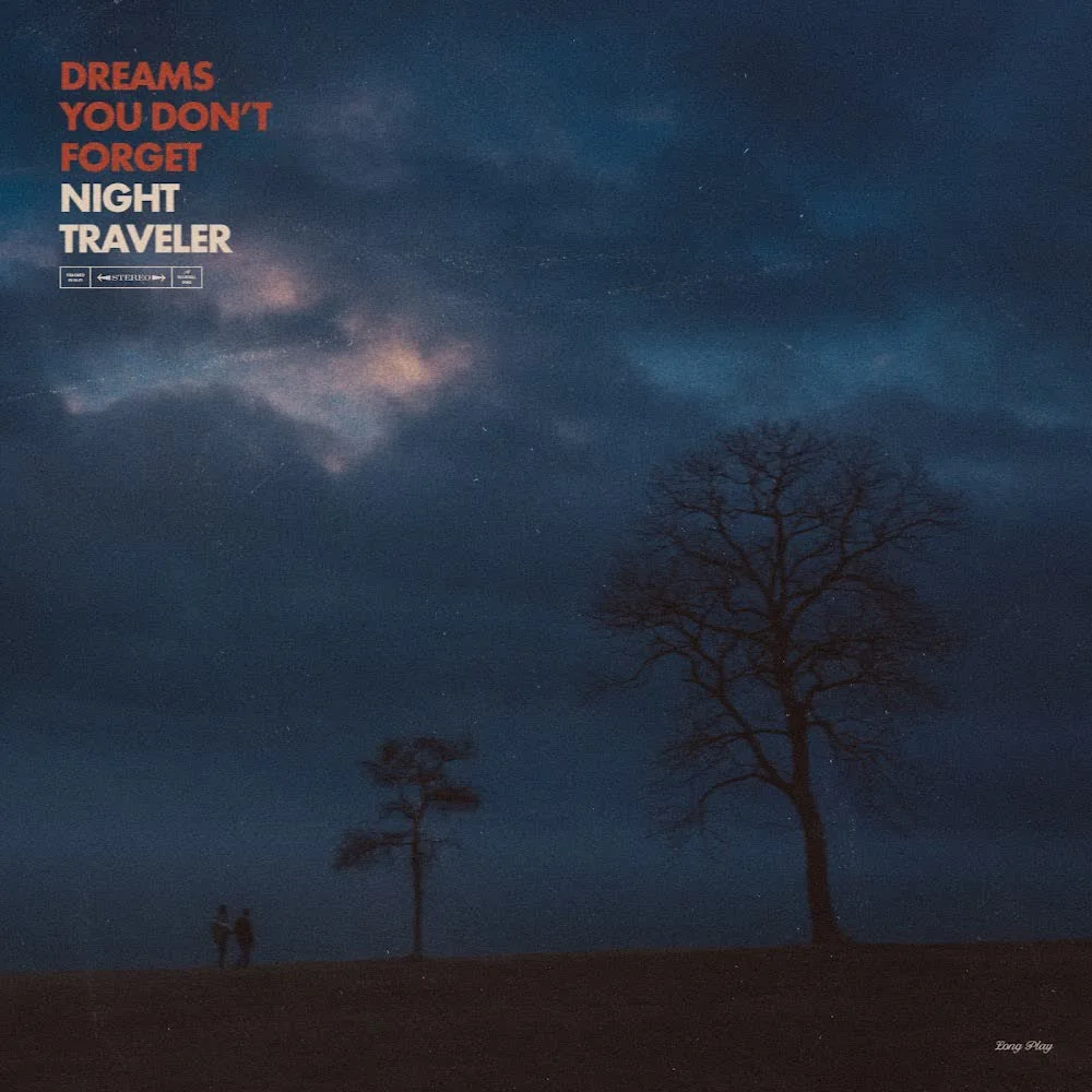 Обкладинка пісні NIGHT TRAVELER — Watching You