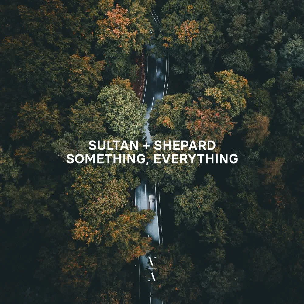 Обкладинка треку Sultan + Shepard — Something, Everything (feat. Richard Walters)