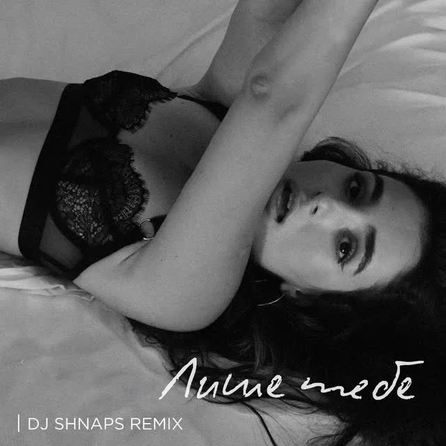 Анна Трінчер, Dj Shnaps — Лише тебе - Dj Shnaps Remix — обкладинка