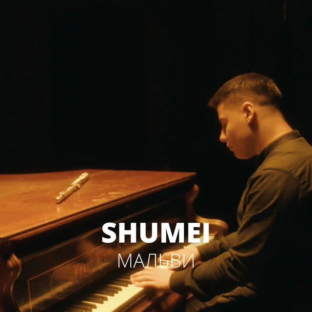 Обкладинка треку SHUMEI — Мальви