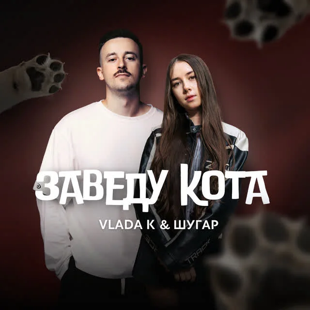 Обкладинка пісні VLADA K, Шугар — ЗАВЕДУ КОТА
