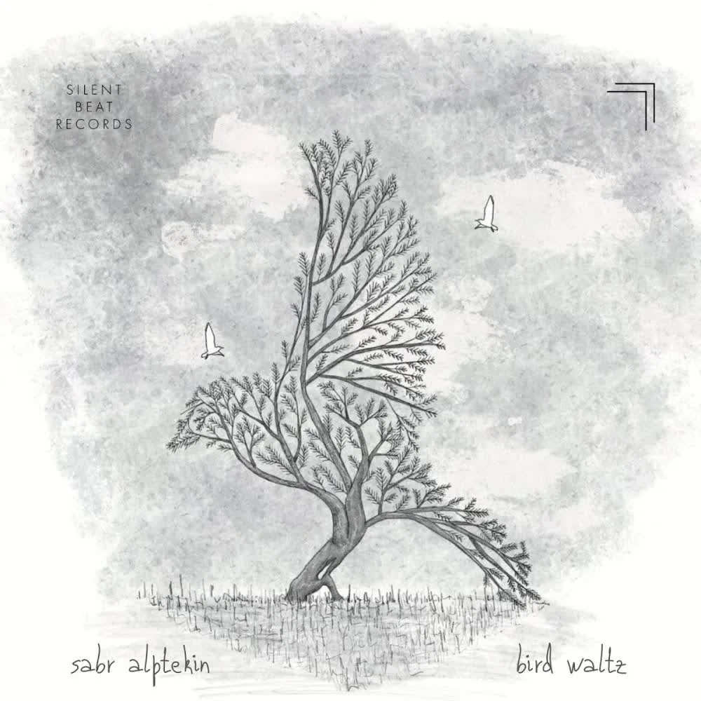 Обкладинка пісні Sabr Alptekin — Bird Waltz
