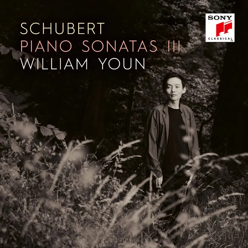 Обкладинка пісні William Youn&Franz Schubert — Adagio in D-Flat Major, D. 505