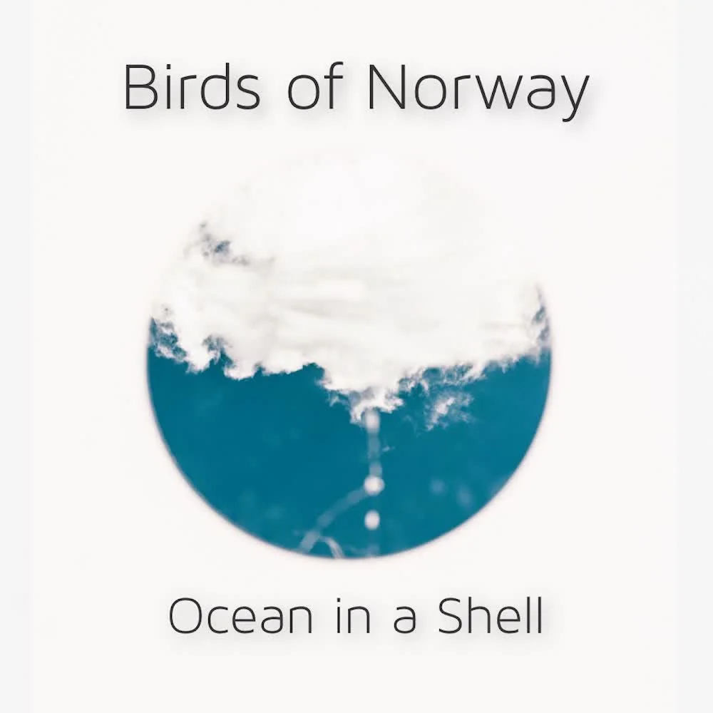 Birds of Norway — Ocean In A Shell — обкладинка