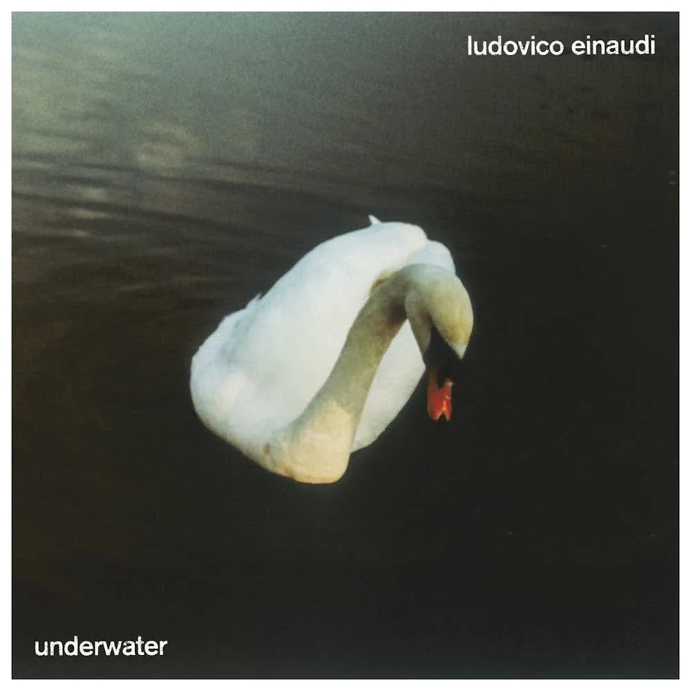 Обкладинка пісні Ludovico Einaudi — Temple White