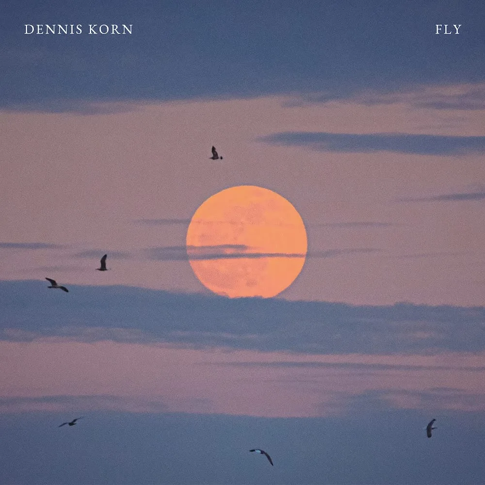 Обкладинка треку Dennis Korn — Fly (Slowed + Reverb)