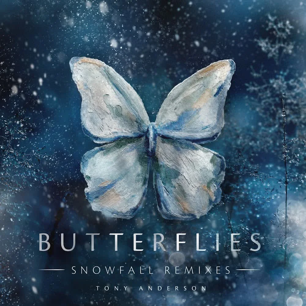 Обкладинка треку Tony Anderson — Butterflies (Piano Sonata)
